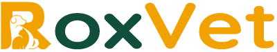 Logo-white-min.png